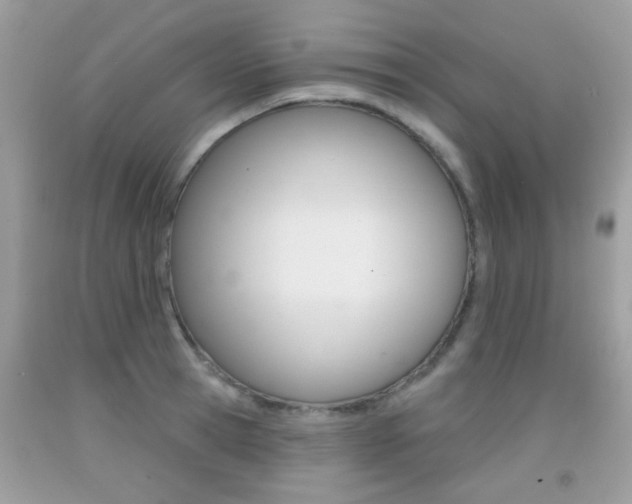 X0000092080945200709121103
