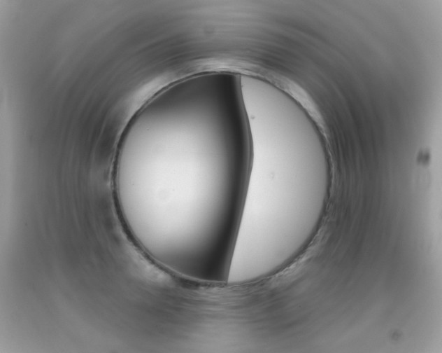 X0000092080946200709121103