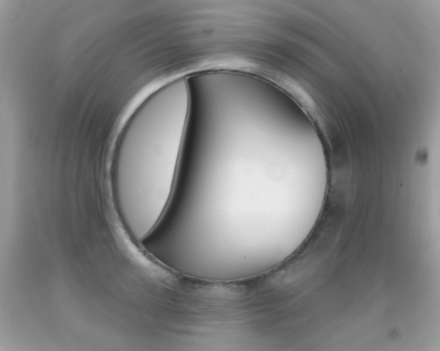 X0000092080947200709121103