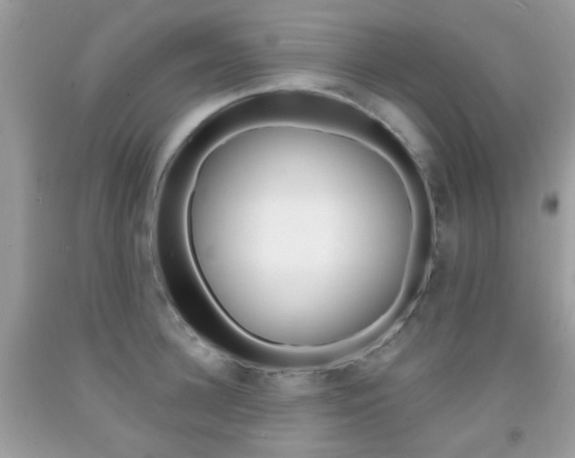 X0000092080948200709121103
