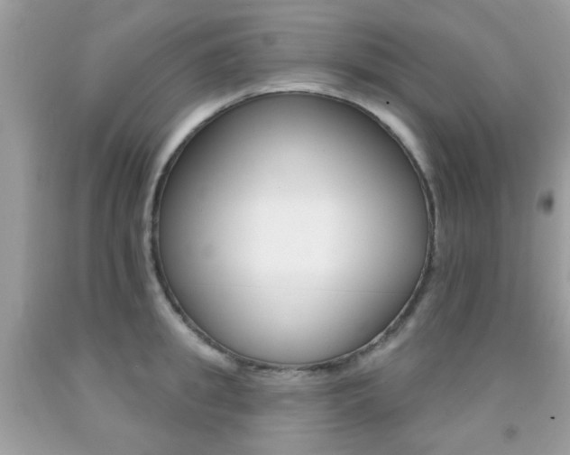 X0000092080949200709121103