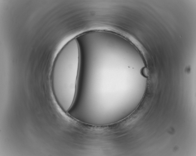 X0000092080951200709121103