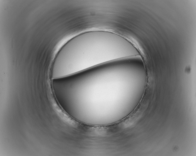 X0000092080952200709121103