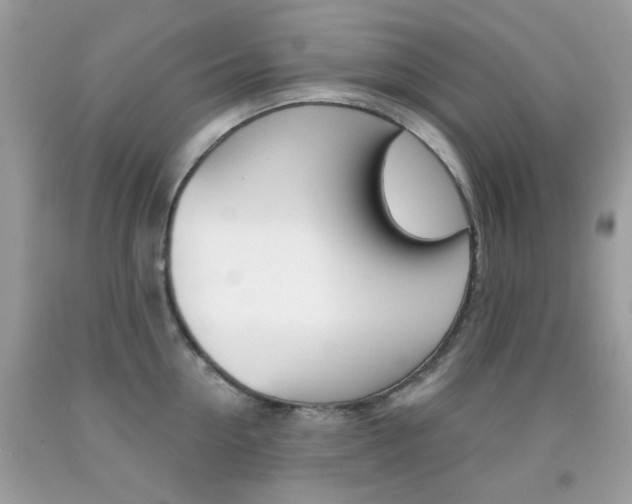 X0000092080954200709121103