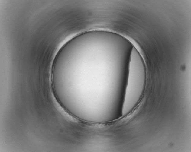 X0000092080957200709121103