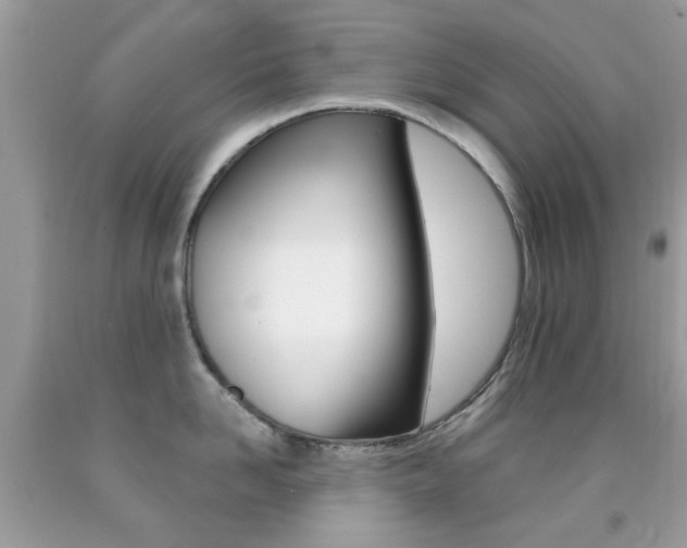 X0000092080958200709121103