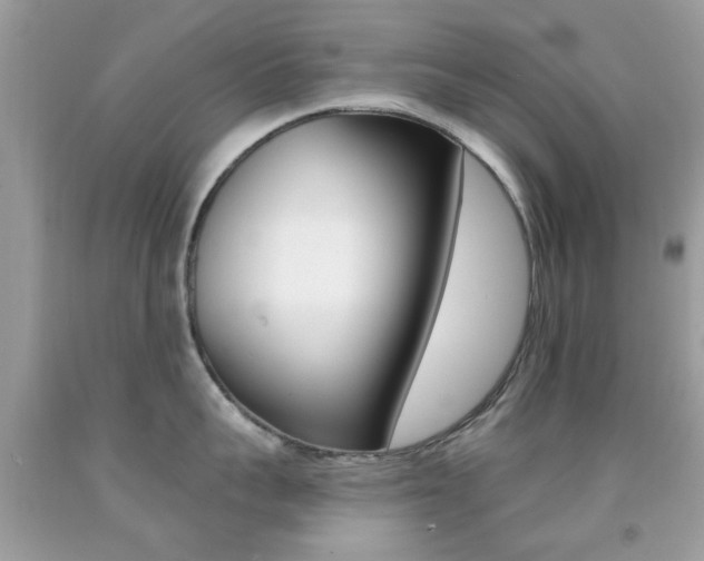 X0000092080959200709121103