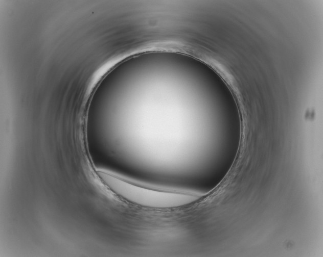X0000092080960200709121103