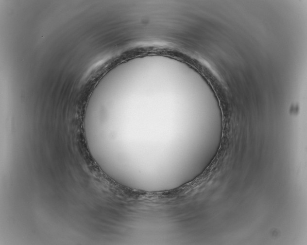 X0000092080967200709121102
