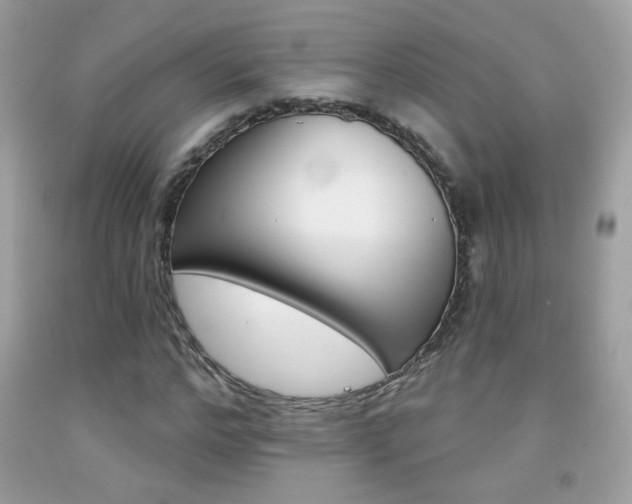 X0000092080968200709121102