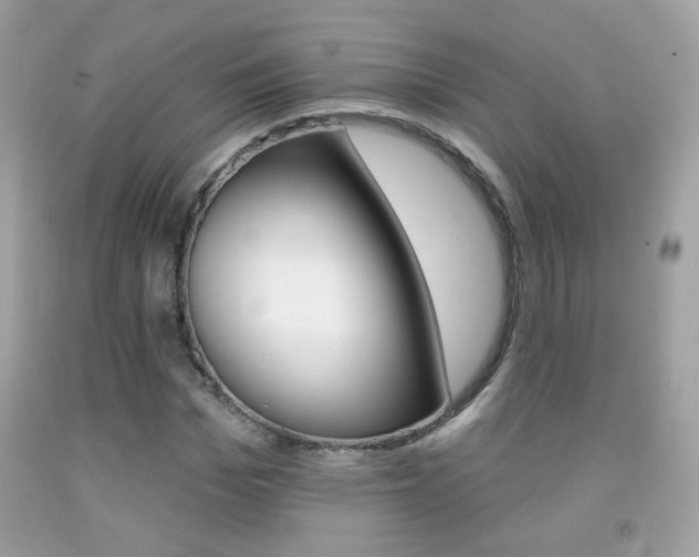 X0000092080969200709121102