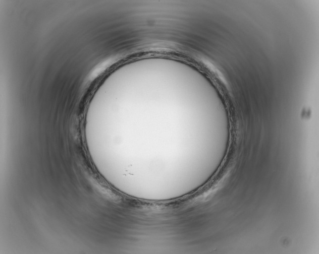 X0000092080970200709121102