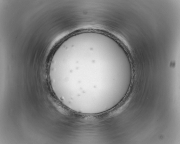 X0000092080974200709121102