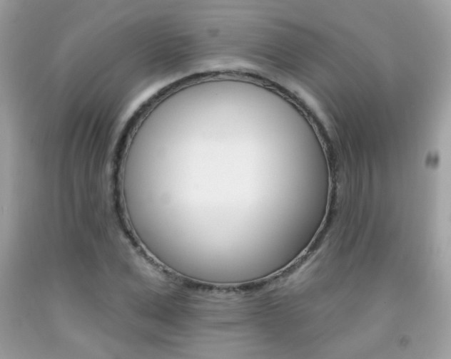 X0000092080975200709121102