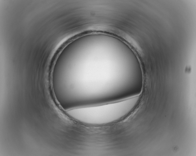 X0000092080976200709121102