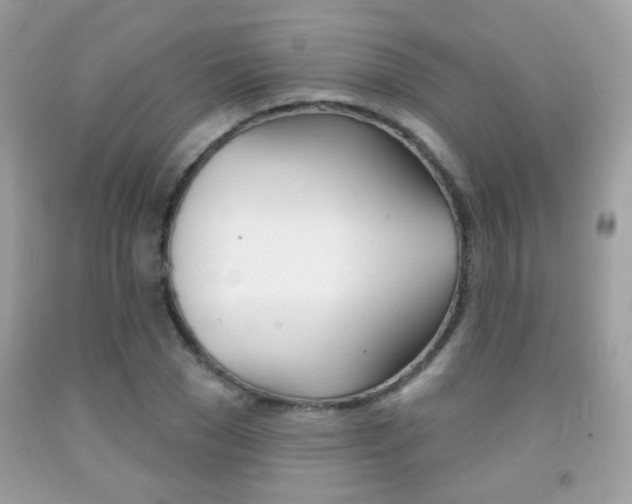 X0000092080977200709121102
