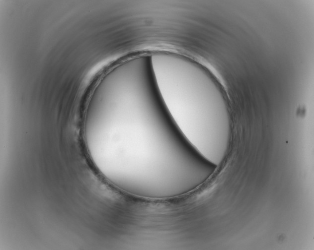 X0000092080979200709121102