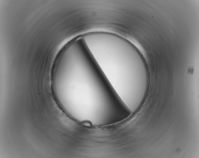 X0000092080980200709121102
