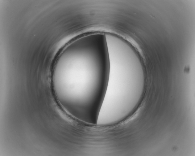 X0000092080981200709121102