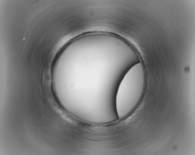 X0000092080982200709121102