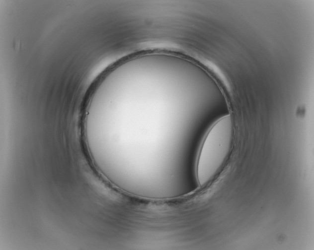 X0000092080983200709121102