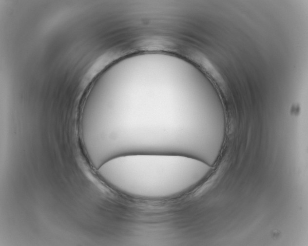 X0000092080986200709121102
