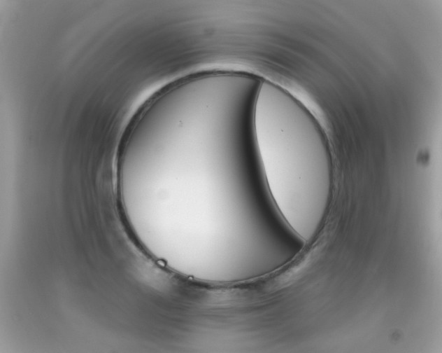 X0000092080988200709121102
