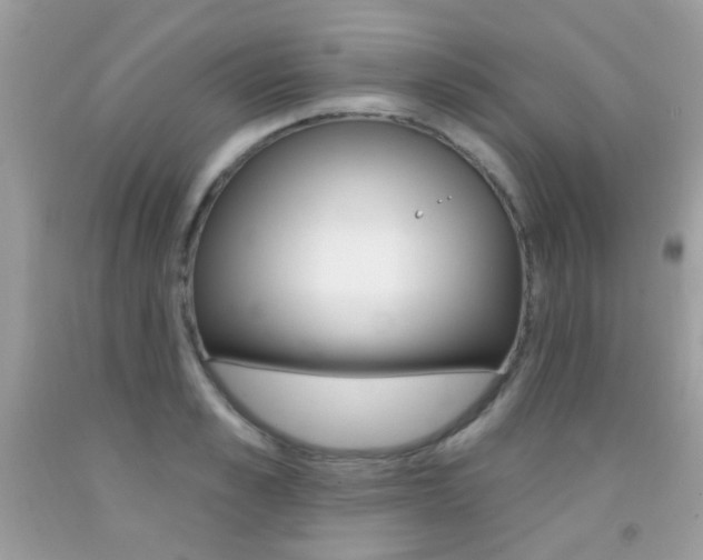 X0000092080989200709121102