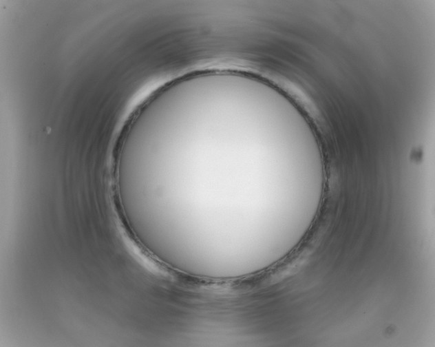 X0000092080990200709121102