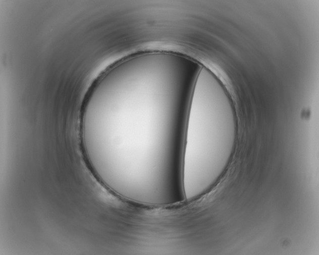 X0000092080992200709121102
