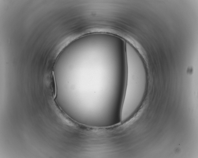 X0000092080993200709121102
