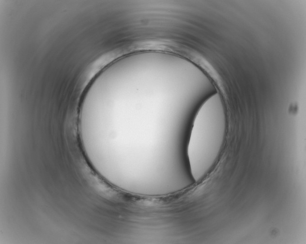 X0000092080994200709121102