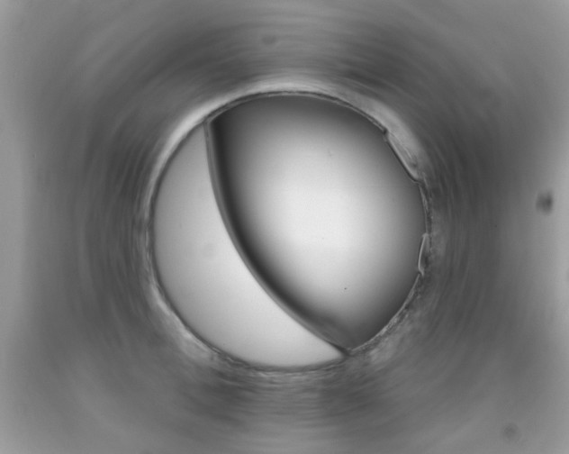 X0000092080996200709121102
