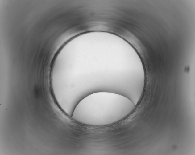 X0000092081000200709121102