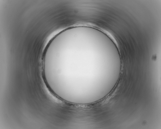 X0000092081003200709121102