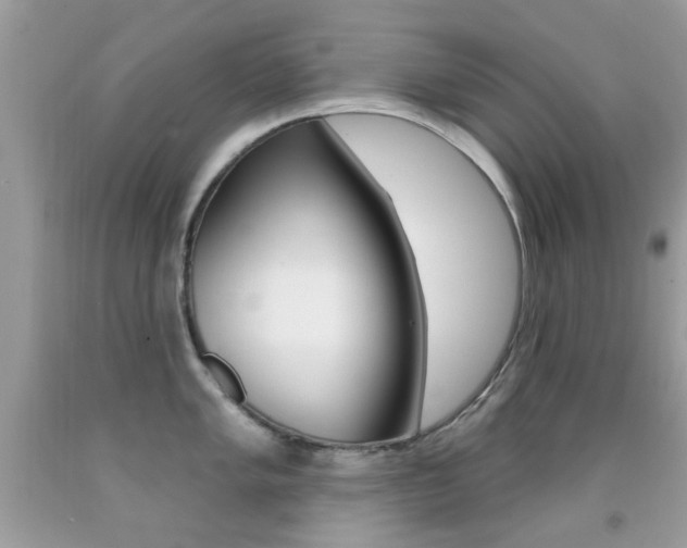 X0000092081005200709121102