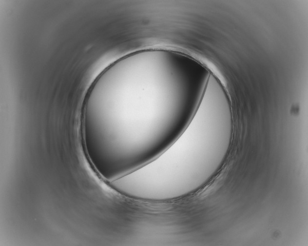 X0000092081007200709121102