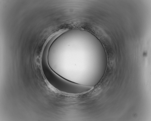 X0000092081010200709121101
