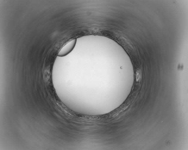 X0000092081011200709121101