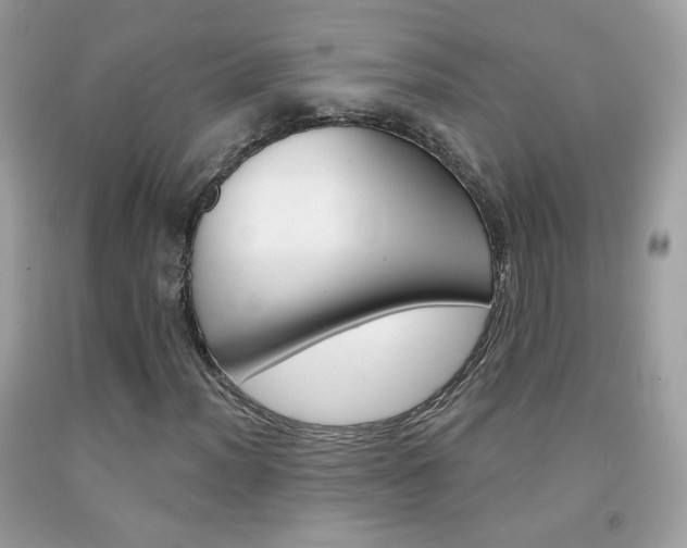 X0000092081012200709121101