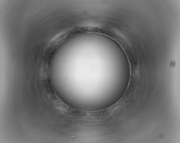 X0000092081014200709121101