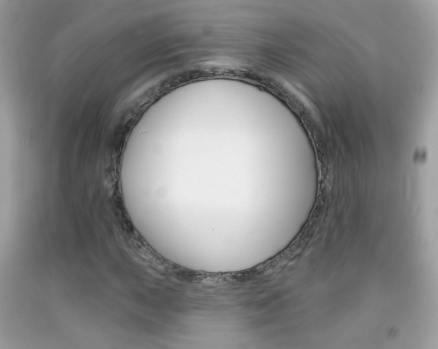 X0000092081015200709121101