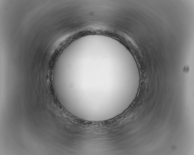 X0000092081016200709121101