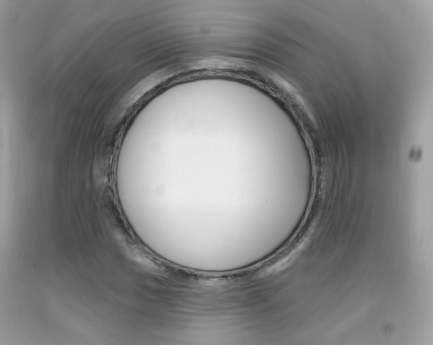 X0000092081017200709121101