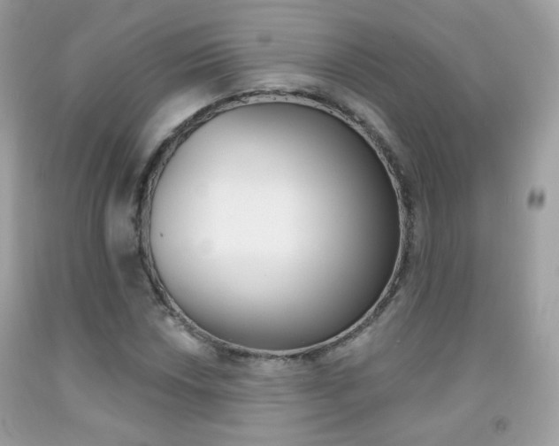 X0000092081018200709121101