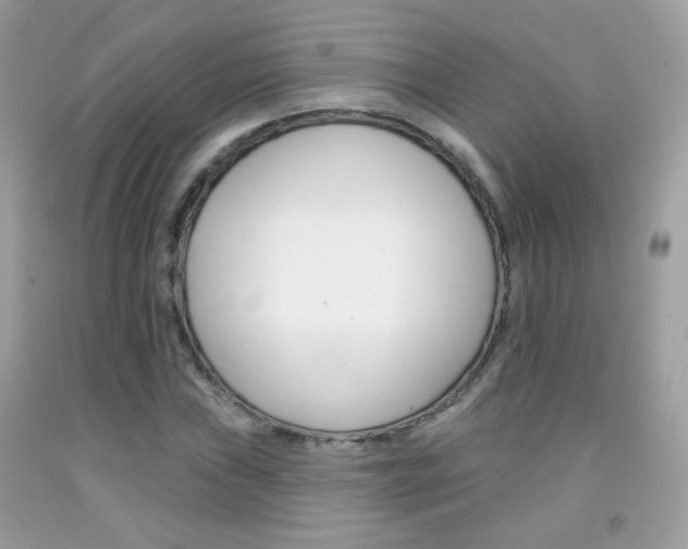 X0000092081019200709121101