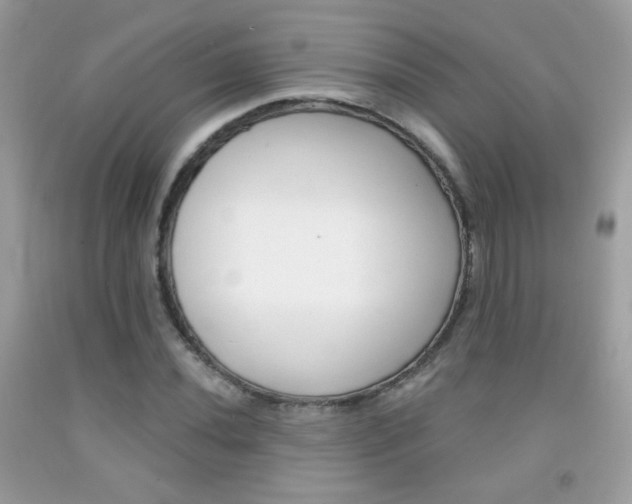 X0000092081020200709121101