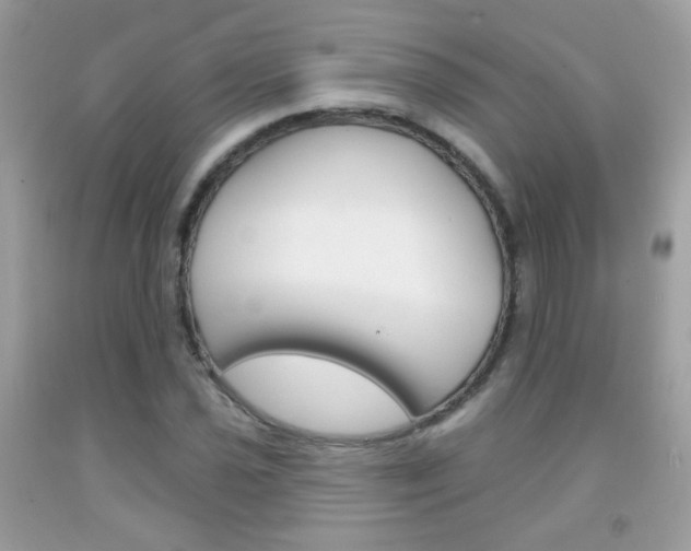 X0000092081021200709121101