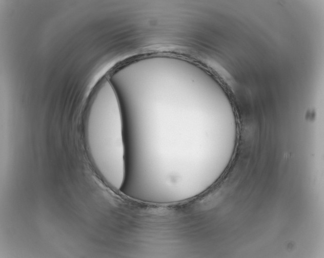 X0000092081023200709121101