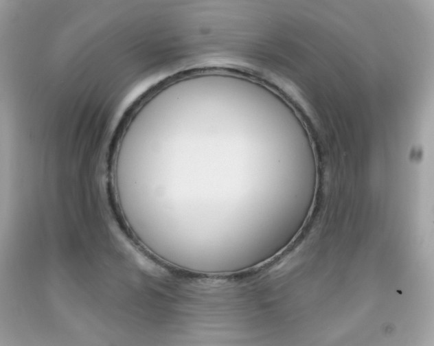 X0000092081024200709121101